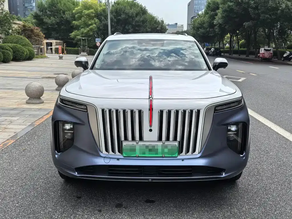Hongqi E-HS9 — фото 6