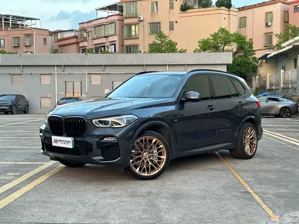 BMW X5 New Energy (Import) — фото 1