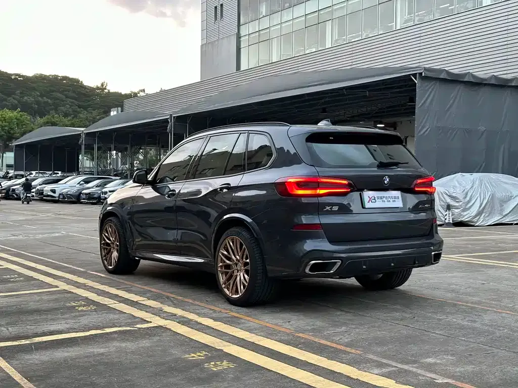BMW X5 New Energy (Import) — фото 6
