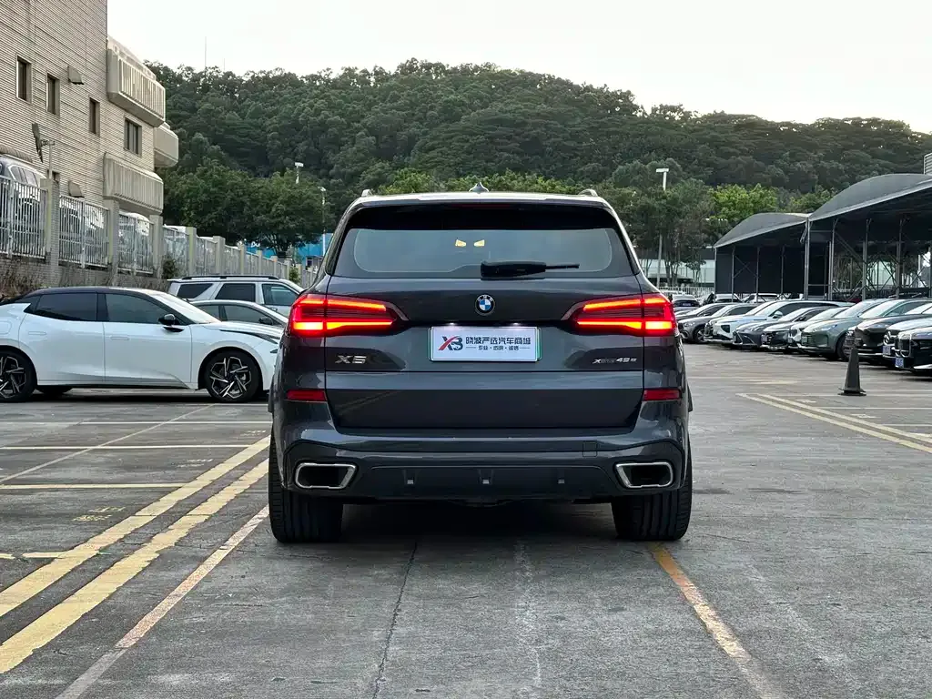 BMW X5 New Energy (Import) — фото 2