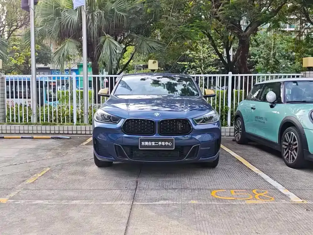 BMW X2 2023 из CN, фото 9