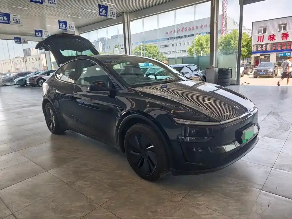 Tesla Model Y — фото 5