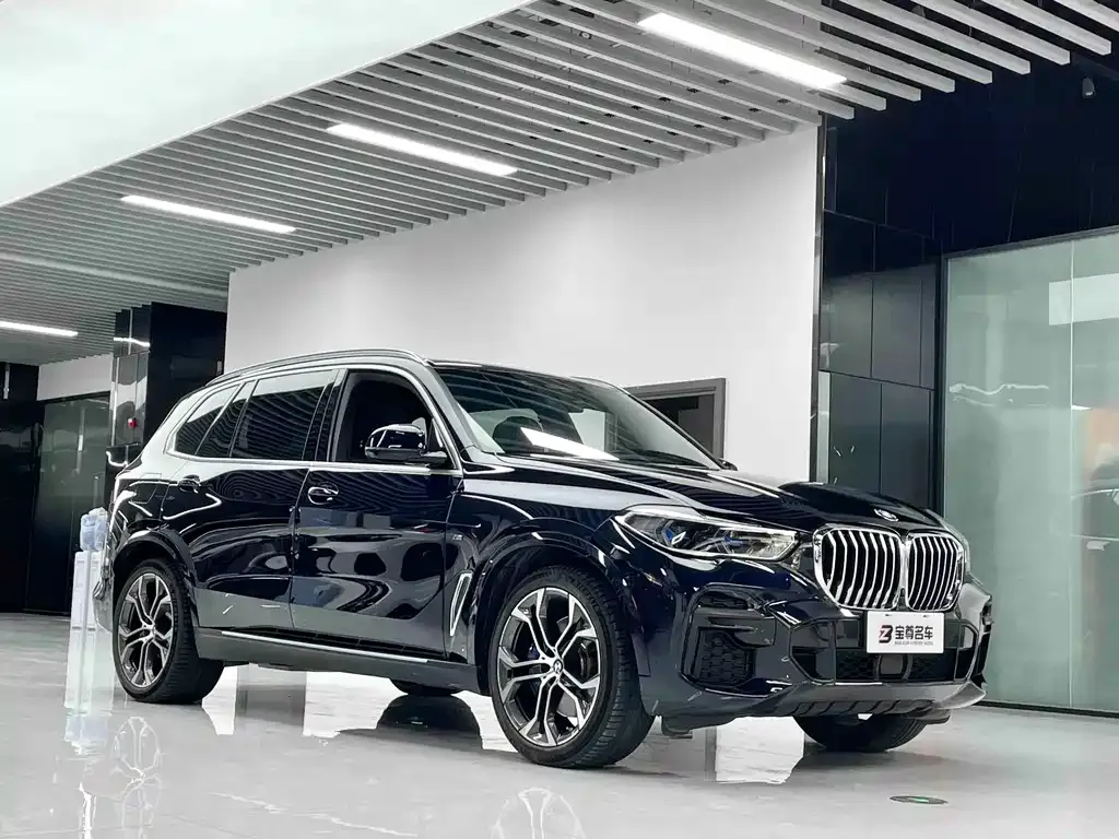 BMW X5 — фото 6
