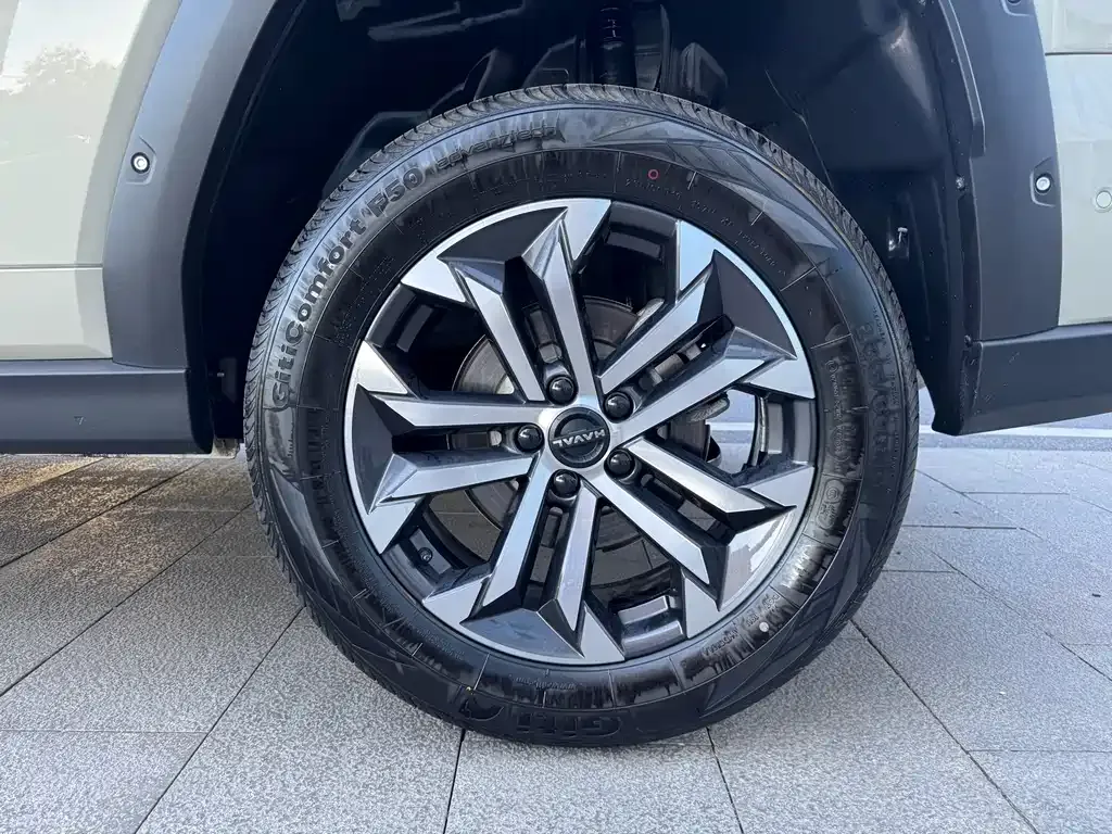 Haval H7 (Big Dog Plus) — фото 3