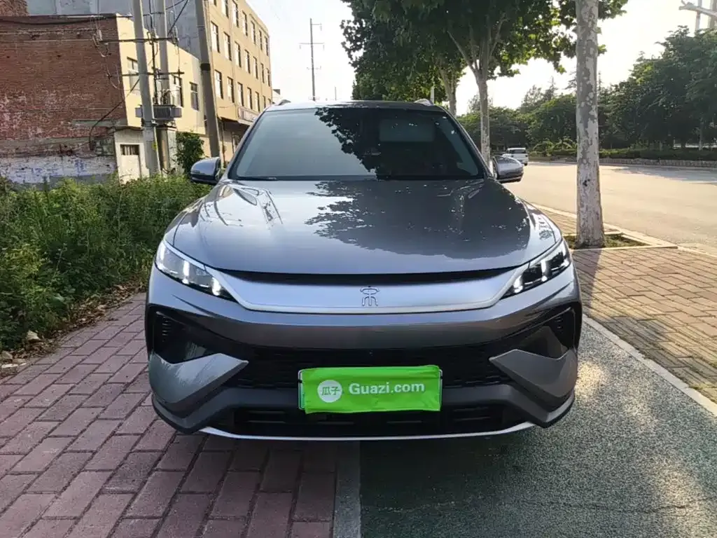 BYD Pro New Energy 2024 из CN, фото 7