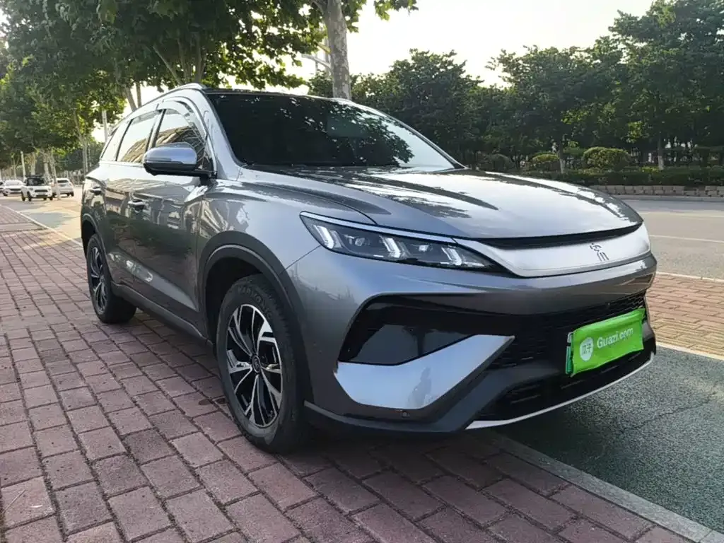 BYD Pro New Energy 2024 из CN, фото 6