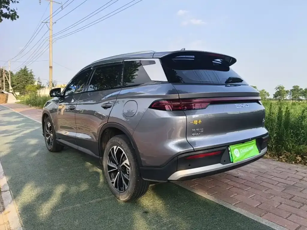 BYD Pro New Energy 2024 из CN, фото 5