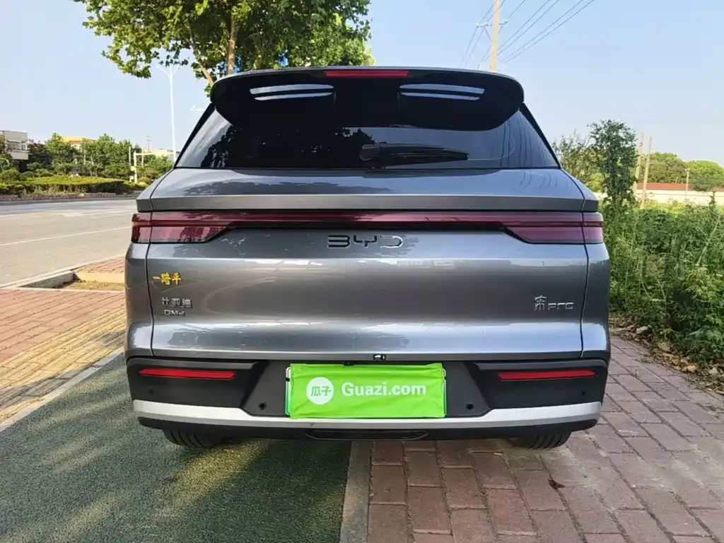 BYD Pro New Energy 2024 из CN, фото 2