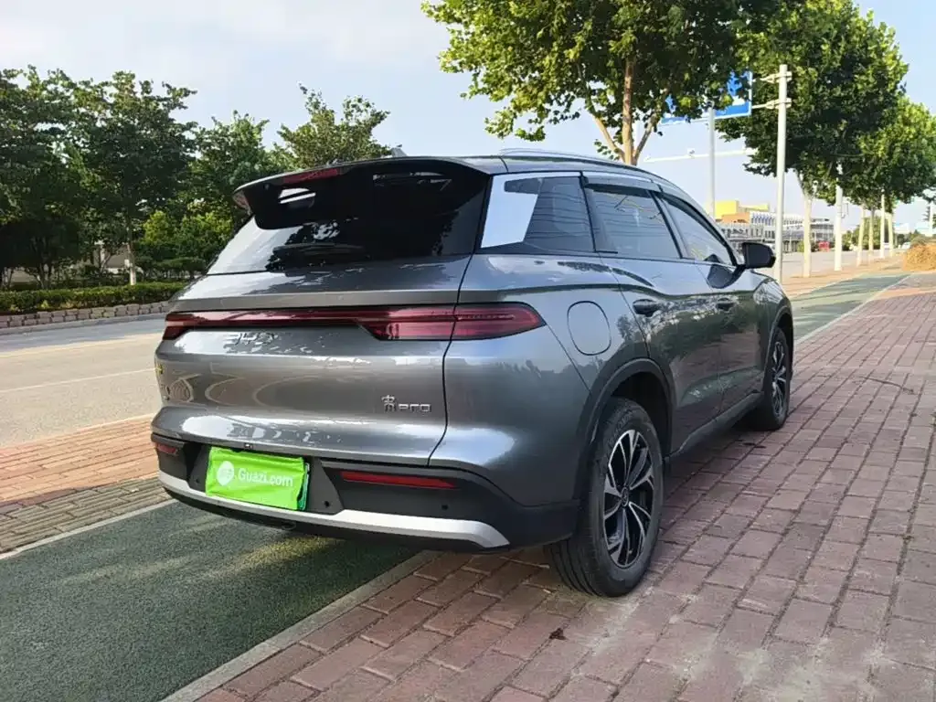 BYD Pro New Energy 2024 из CN, фото 8