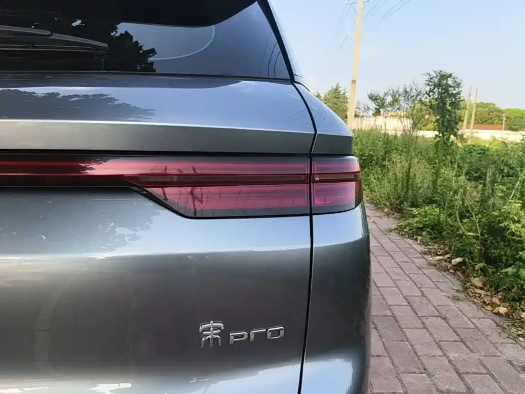 BYD Pro New Energy 2024 из CN, фото 3