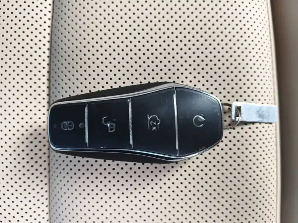 BYD Pro New Energy 2024 из CN, фото 4