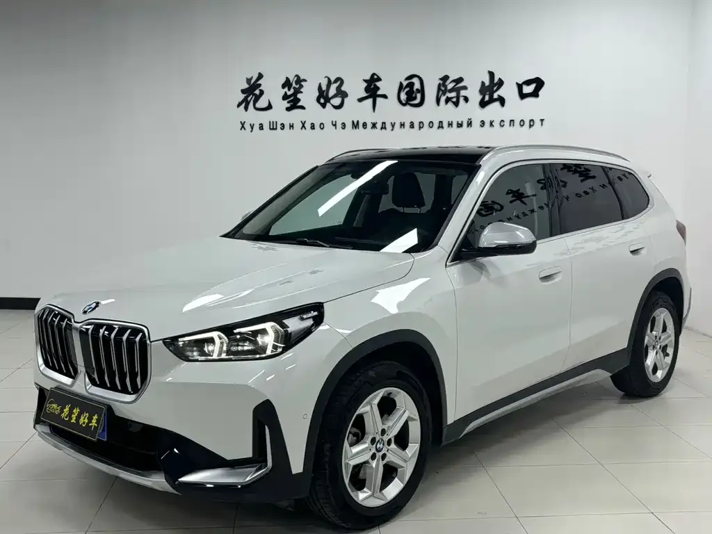 BMW X1 — фото 1