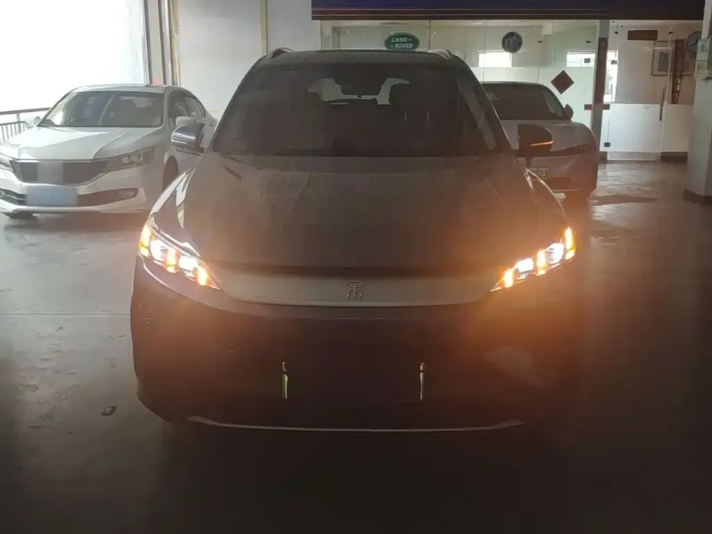 BYD Pro New Energy 2024 из CN, фото 3