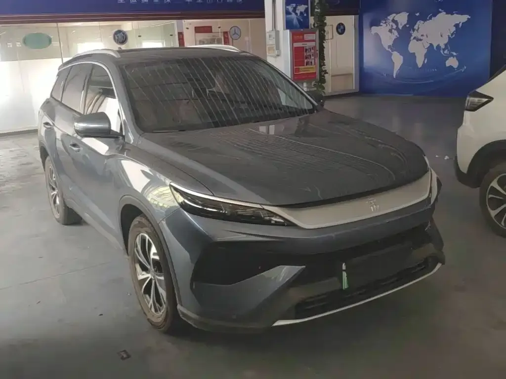 BYD Pro New Energy 2024 из CN, фото 9