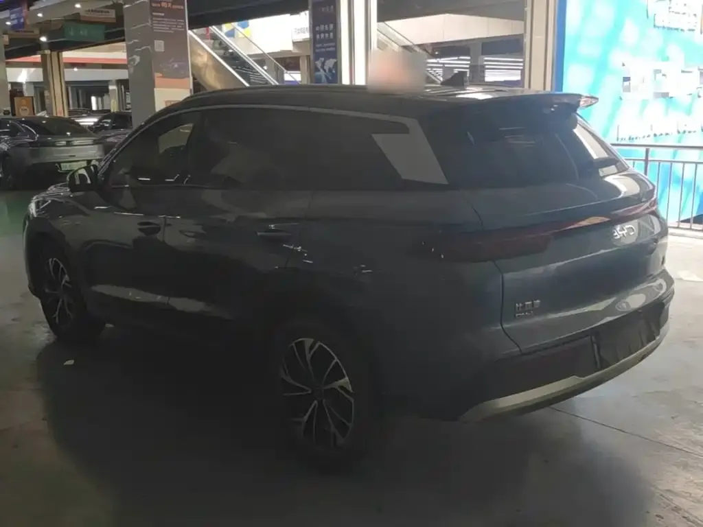 BYD Pro New Energy 2024 из CN, фото 8