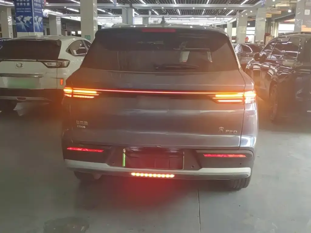 BYD Pro New Energy 2024 из CN, фото 2