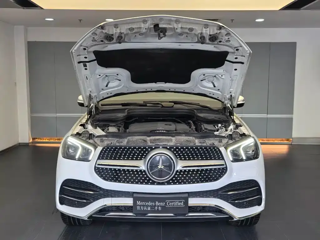 Mercedes-Benz 奔驰GLE(进口) — фото 10