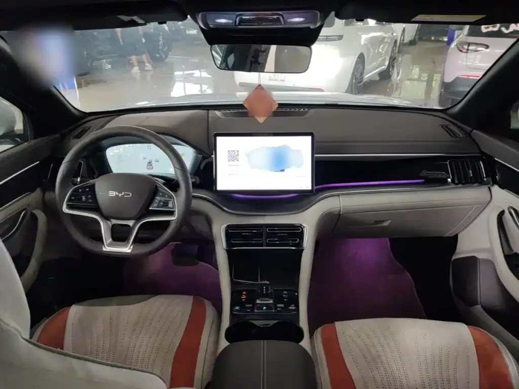 BYD PLUS New Energy — фото 10