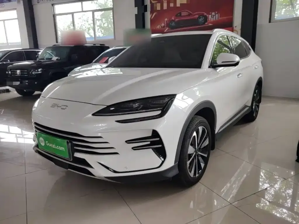 BYD PLUS New Energy — фото 4