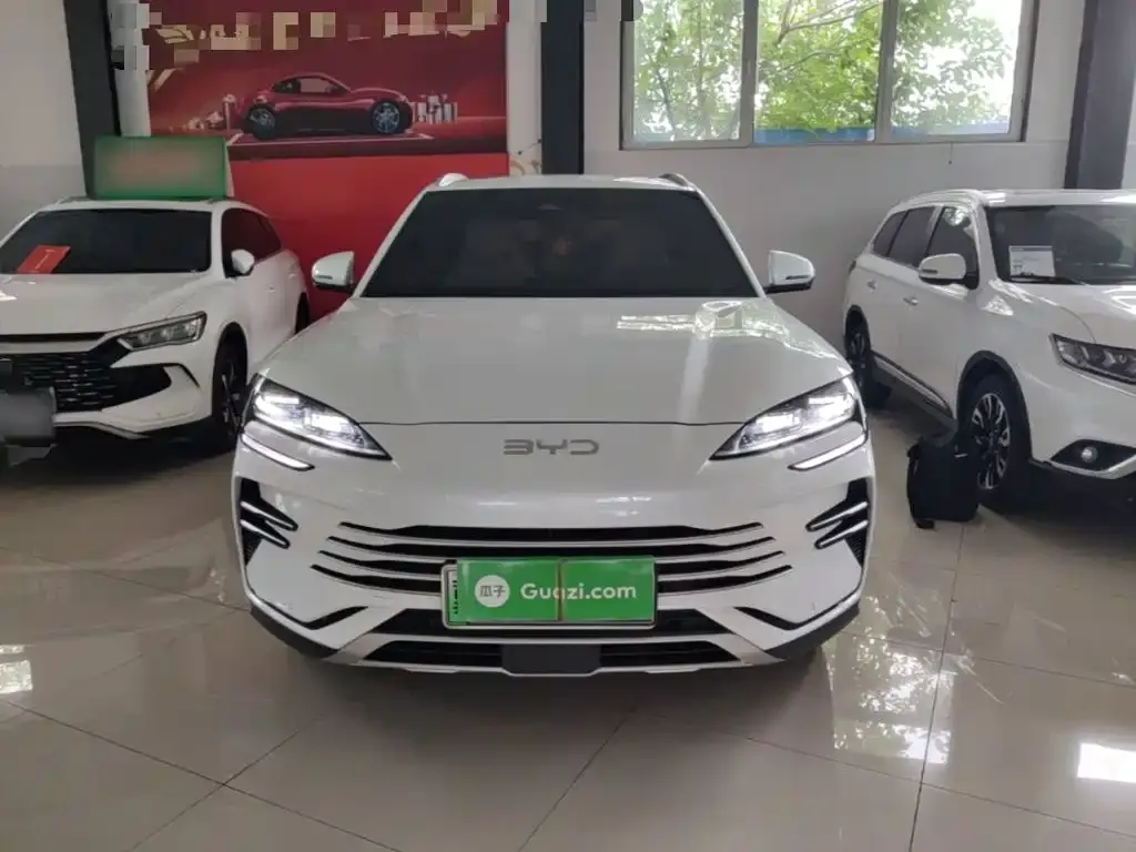 BYD PLUS New Energy — фото 2