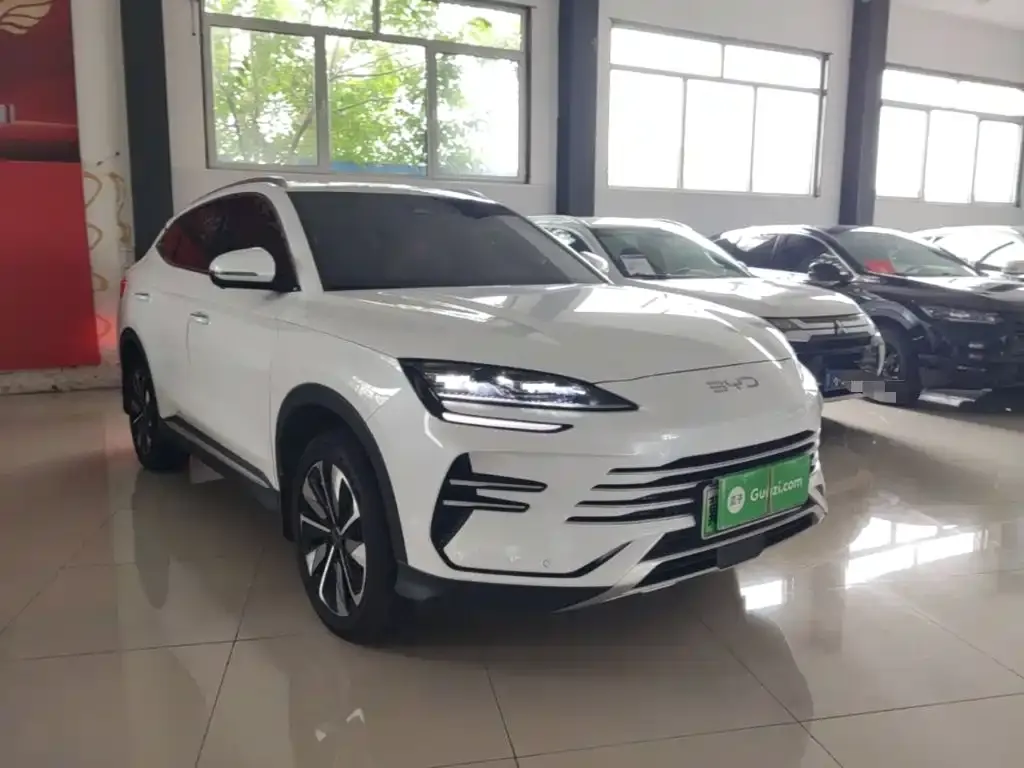 BYD PLUS New Energy — фото 5