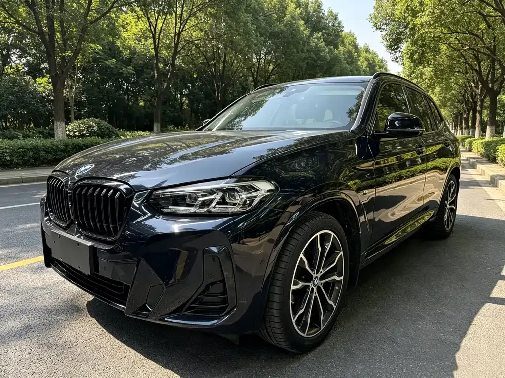 BMW X3 — фото 1