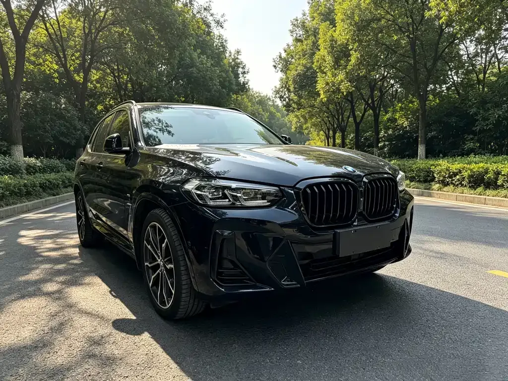 BMW X3 — фото 9