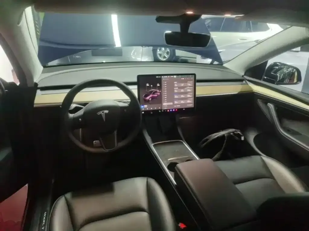 Tesla Model Y — фото 9