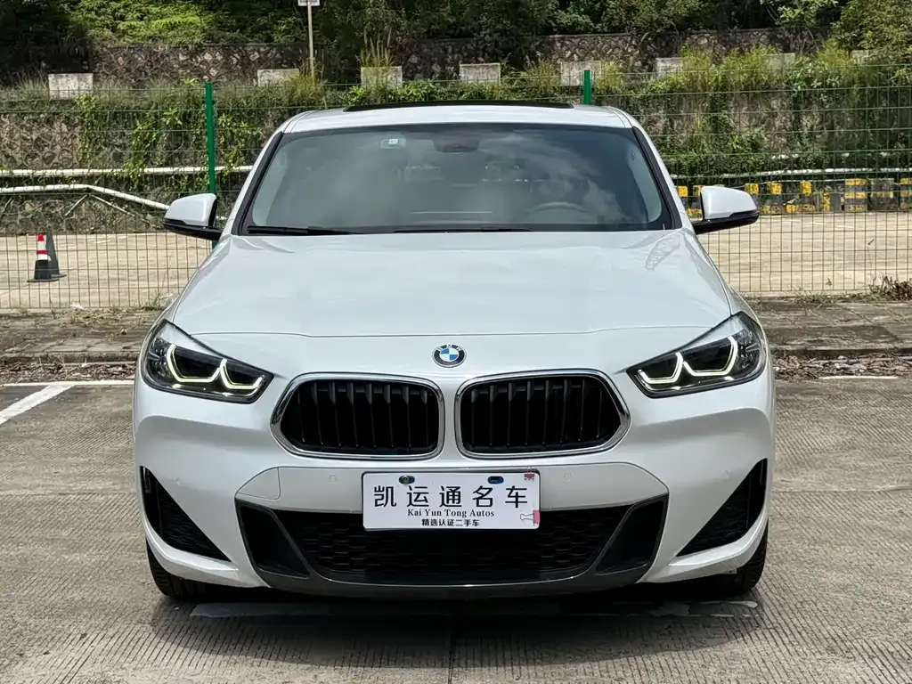 BMW X2 — фото 1