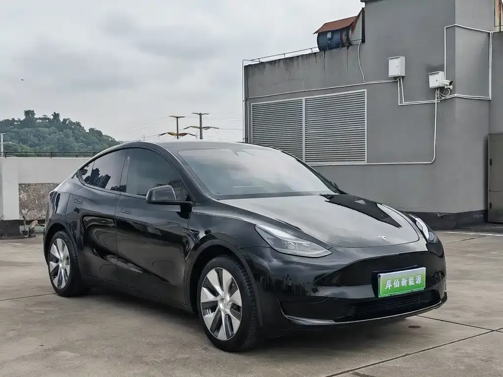 Tesla Model Y — фото 10