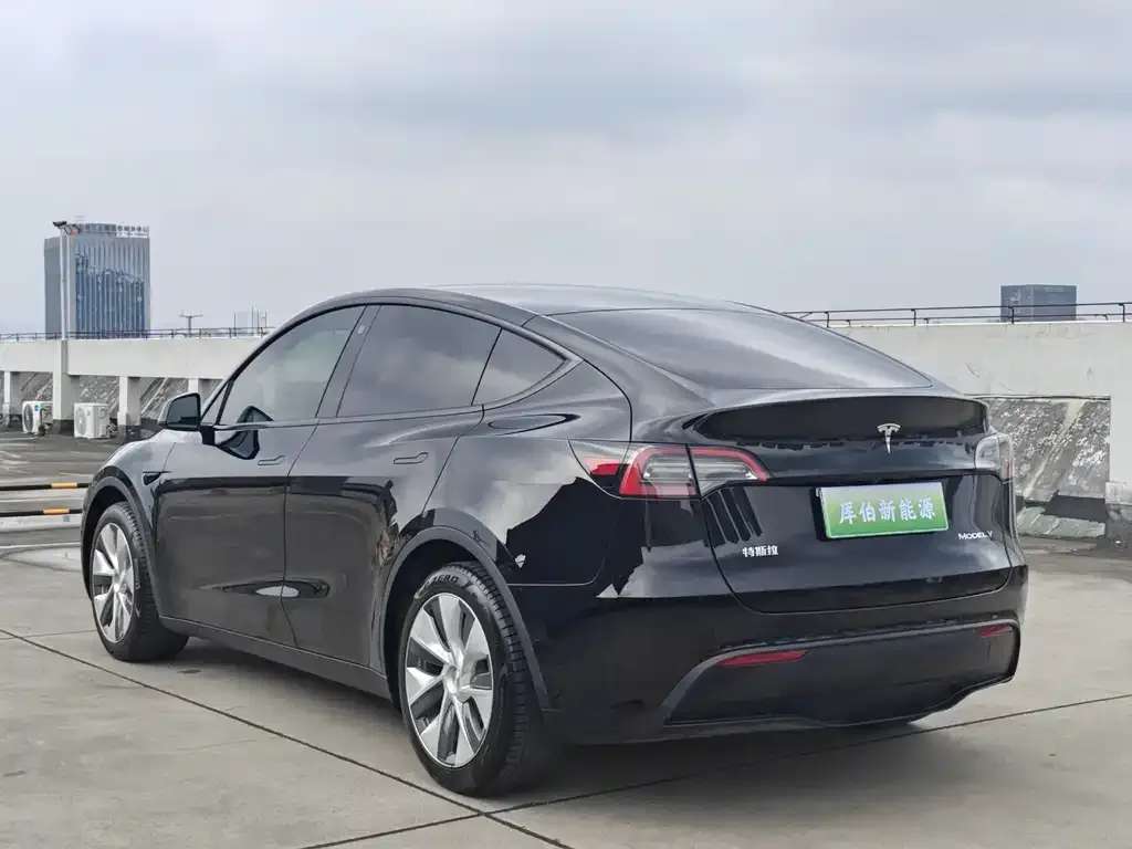 Tesla Model Y — фото 6