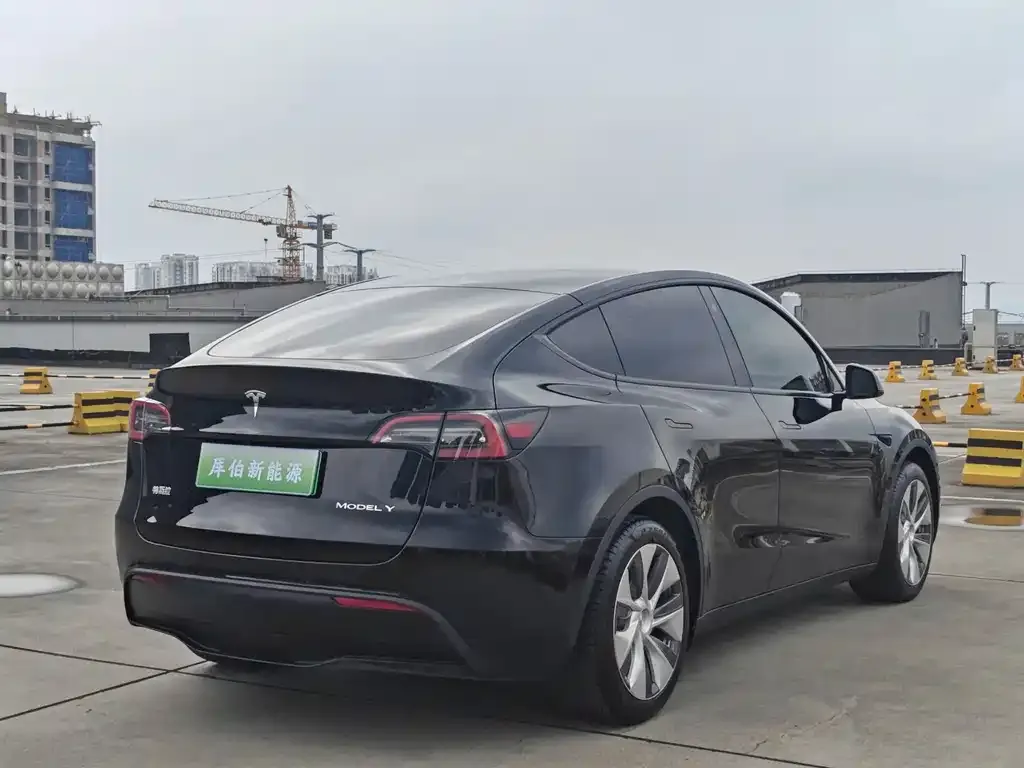 Tesla Model Y — фото 9
