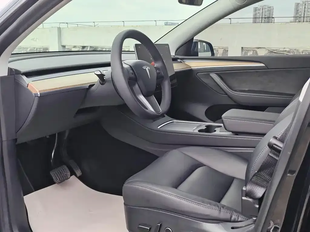 Tesla Model Y — фото 2