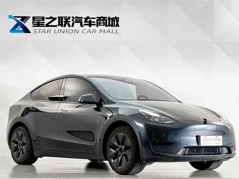 Tesla Model Y — фото 10