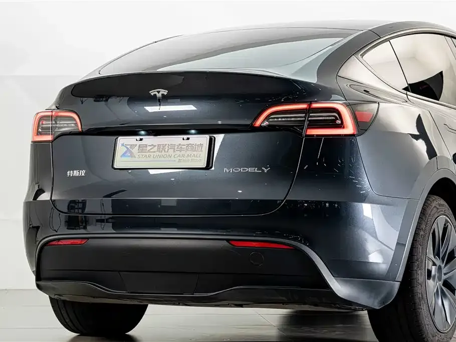 Tesla Model Y — фото 8