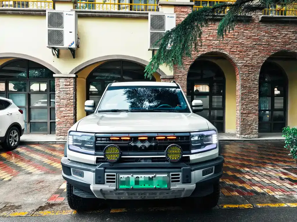 Fang Cheng Bao Leopard 5 2024 из CN, фото 9