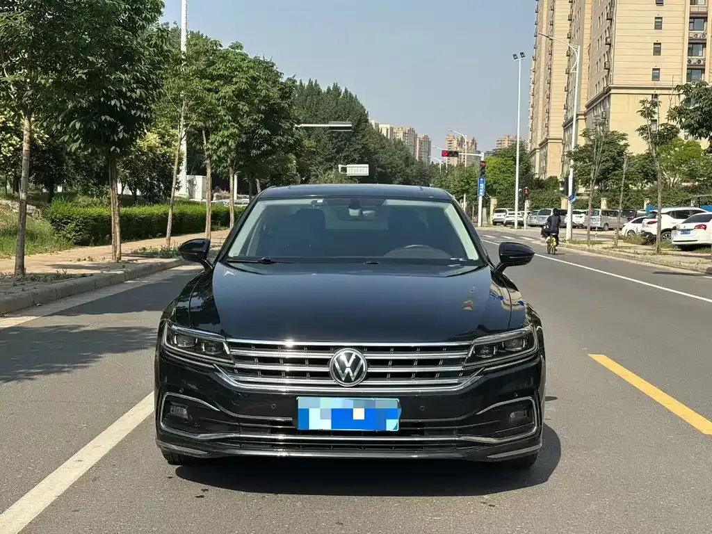 Volkswagen Phideon — фото 6