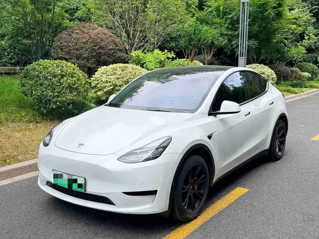 Tesla Model Y — фото 1