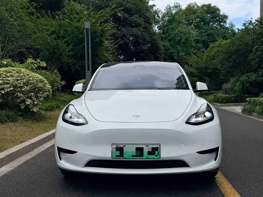 Tesla Model Y — фото 10