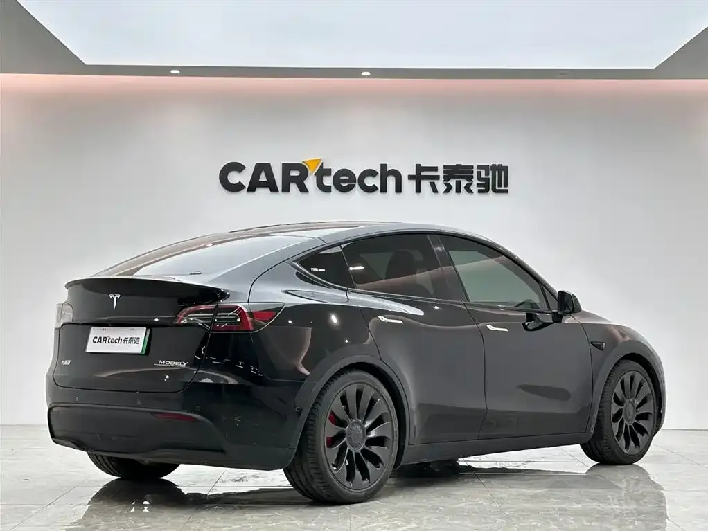 Tesla Model Y — фото 10