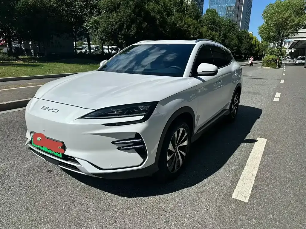 BYD PLUS New Energy — фото 1