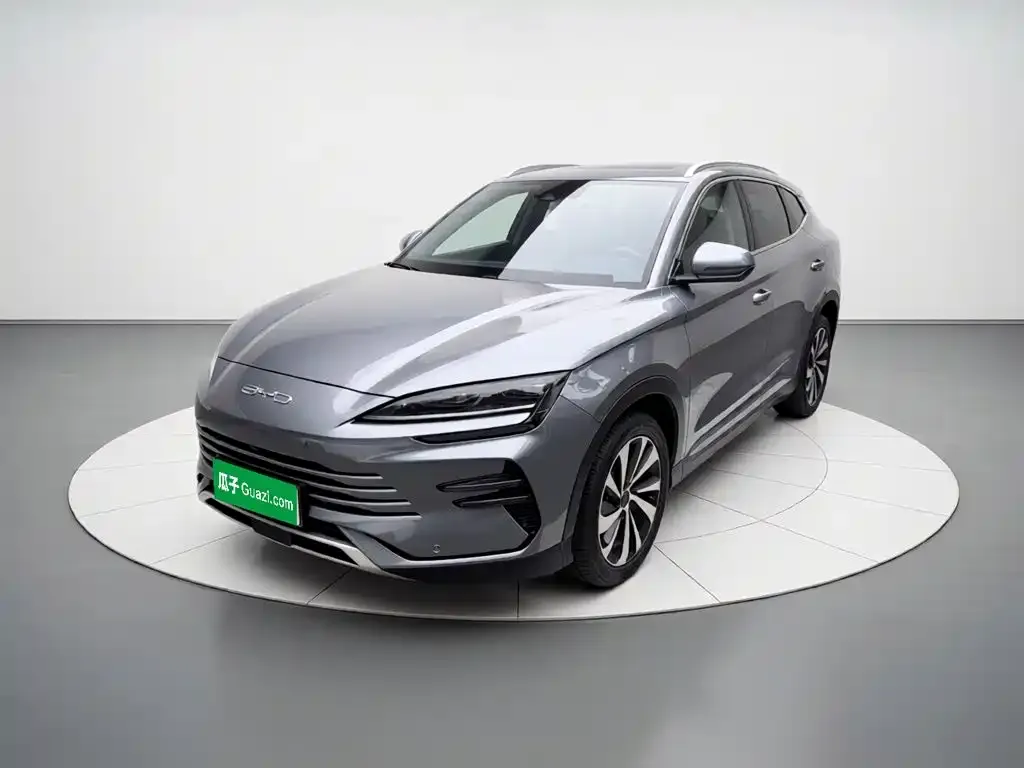 BYD PLUS New Energy — фото 1