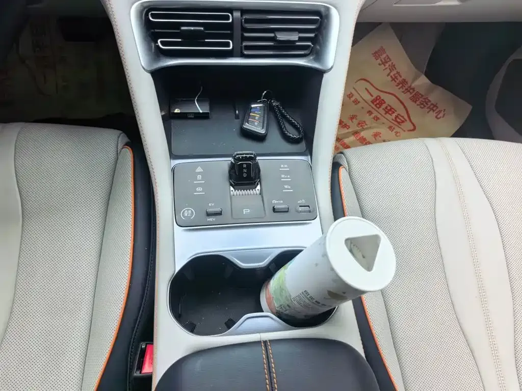 BYD PLUS New Energy — фото 10
