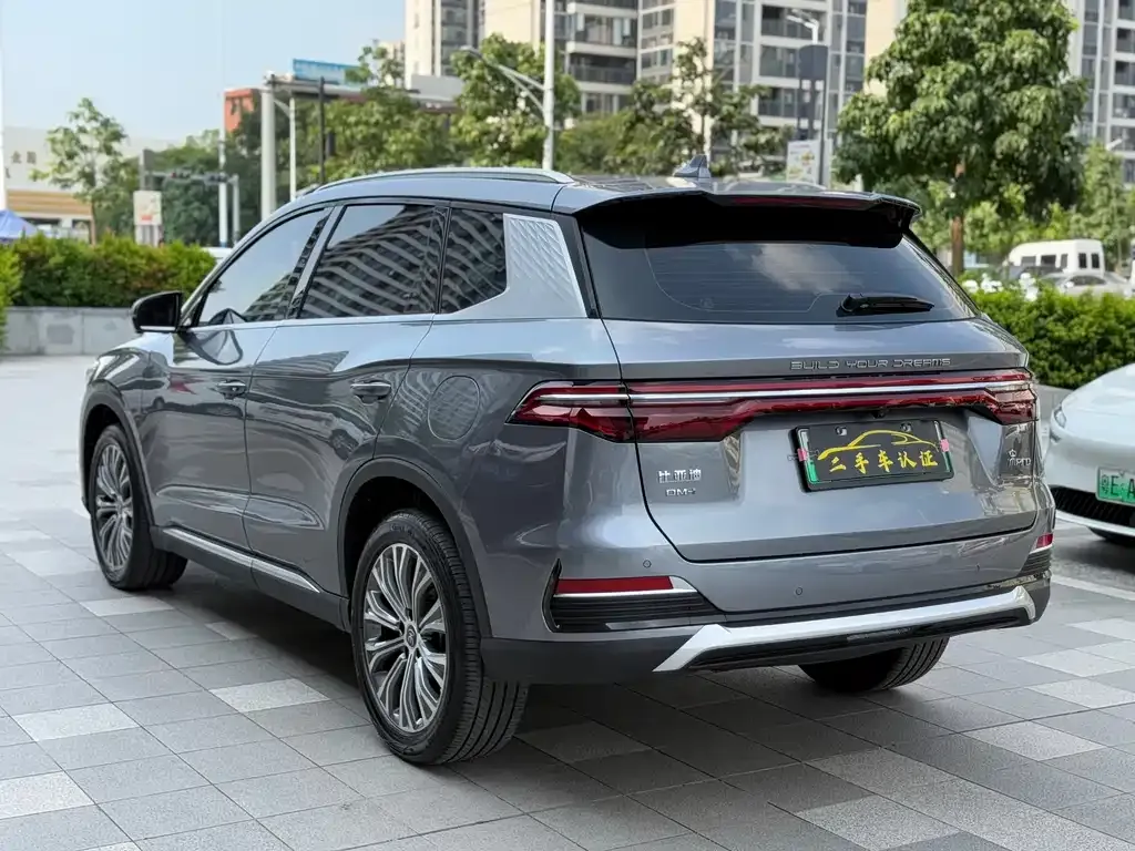 BYD Pro New Energy — фото 9