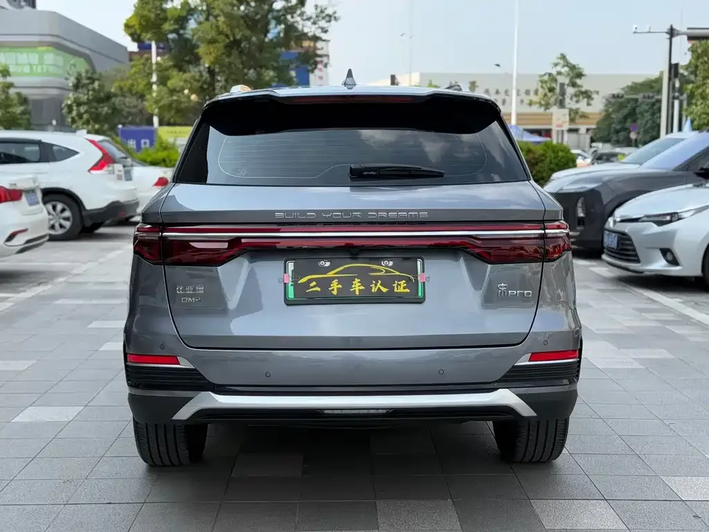 BYD Pro New Energy — фото 2