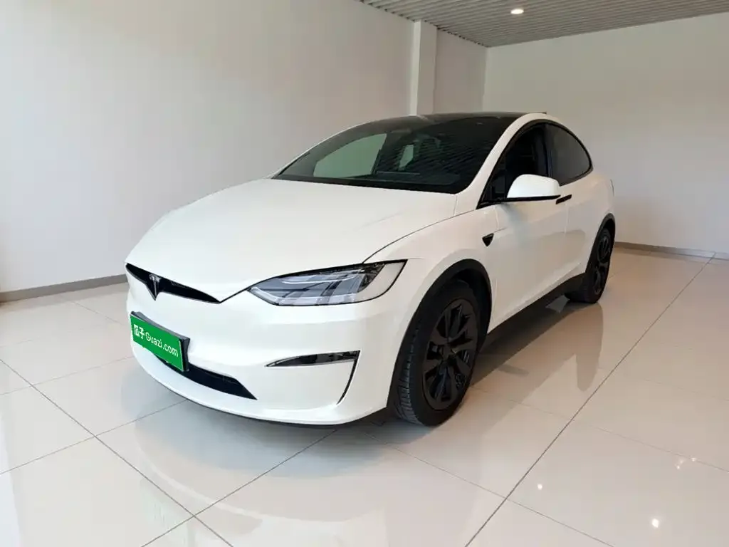 Tesla Model X 2023 из CN, фото 10