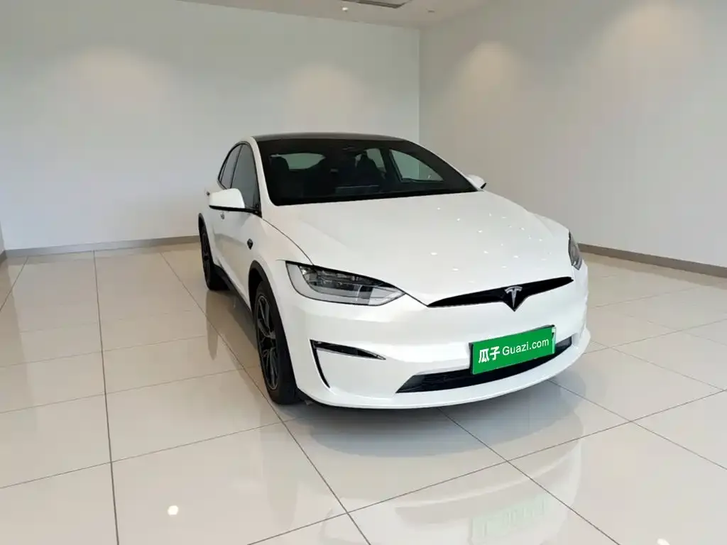 Tesla Model X 2023 из CN, фото 9