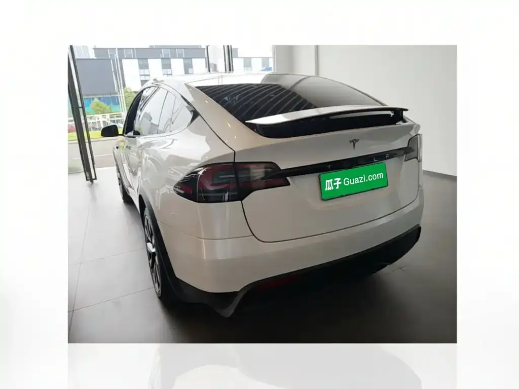 Tesla Model X 2023 из CN, фото 4