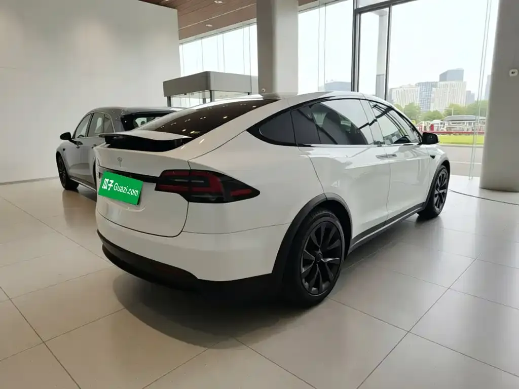 Tesla Model X 2023 из CN, фото 5