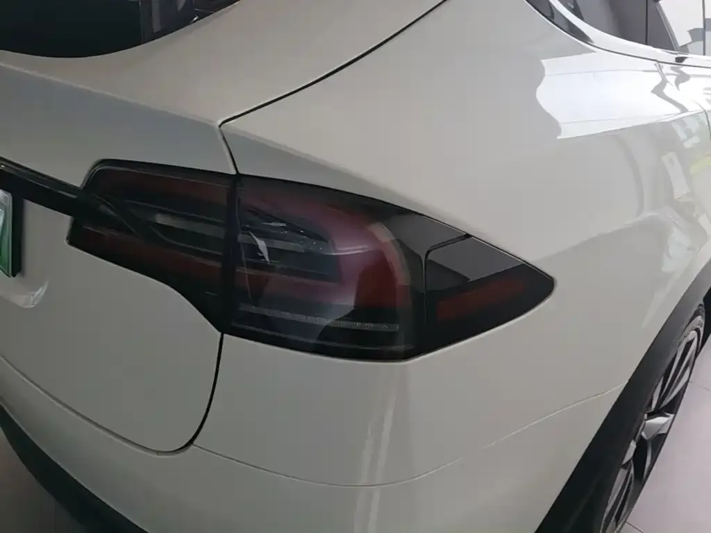 Tesla Model X 2023 из CN, фото 7